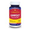 ginkgo_-curcumin95_60cps-herbagetica