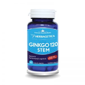 ginkgo_stem_60cps-herbagetica