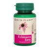 echinacea-forte-60cpr-dacia-plant