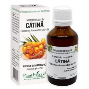 extract-din-muguri-de-catina-50ml-plantextrakt