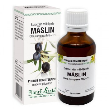 extract-din-mladite-de-maslin-50ml-plant-extrakt