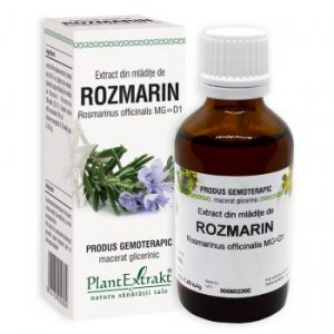 extract-din-mladite-de-rozmarin-50ml-plant-extract