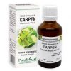 extract-din-muguri-de-carpen-50ml-plant-extrakt