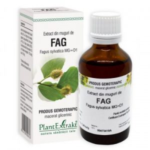 extract-din-muguri-de-fag-50ml-plant-extrakt