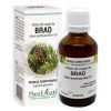 muguri-brad-50ml-plant-extrakt