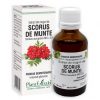 extract-din-muguri-de-scorus-de-munte-50ml-plant-extrakt