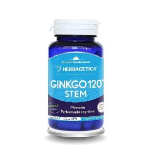 ginkgo_120-stem-30cps-herbagetica