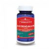 astragalus_30cps-herbagetica