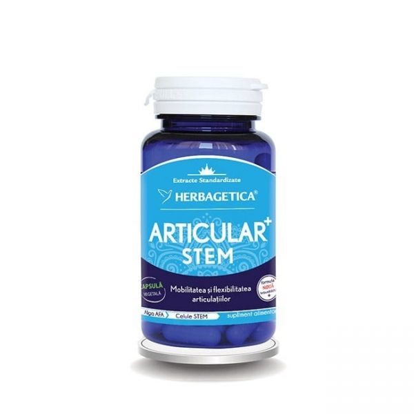 articular_stem_30cps-herbagetica