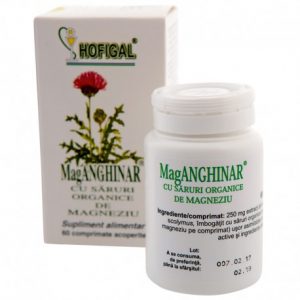 mag-anghinar-60-cps-Hofigal