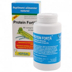 protein-forta-hofigl-60-cps